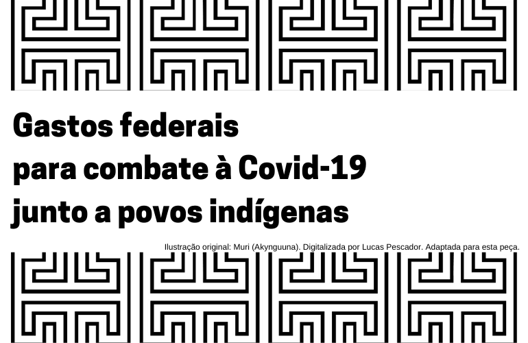 Confira a base de dados com o gasto federal no combate à Covid-19 junto a povos indígenas