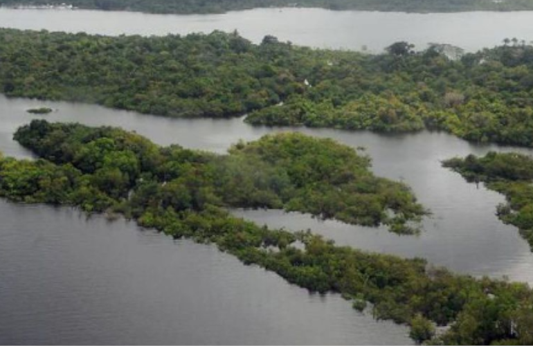 Conselho da Amazônia não explica valor arrecadado pela Operação Verde Brasil 2, em 2020